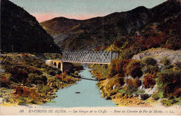 CPA - ALGERIE - BLIDA - Les Gorges De La Chiffa - Colorisée - Paysage - Edit. LEVY Et FILS PARIS - Blida