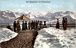 Auf Stanserhorn Im Frühsommer (4069) * Hotelstempel 14. Aug. 1910 - Stans