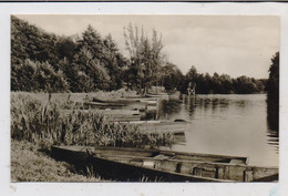 0-1241 BERKENBRÜCK, An Der Spree, Ruderboote, 1960 - Beeskow