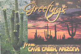 USA:Arizona, Cave Creek, Giant Cactus - Cactusses