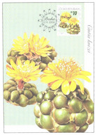 Cactus, Czech:Maxi Card, Cintia Knizei, 2006 - Cactus