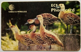 Antigua And Barbuda EC$10  " West Indian Tree Ducks " - Antigua En Barbuda