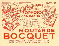 VIEUX PAPIERS BUVARD 13 X 16 CM MOUTARDE BOCQUET 50 PHOTOS ANIMAUX - Food