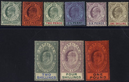 1904-08 MCCA Set, Fine M (1s Tiny Perf Tone), SG.56/64. Cat. £1100 - Other & Unclassified