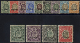 1904 CCA/CCC Set Optd SPECIMEN, Some Tones Or Toned Gum, Good Appearance (½d With Two Small Printers Punch Holes), SG.32 - Sin Clasificación