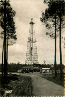 Parentis * Un Derrick En Forêt * Pétrole Or Noir Mine Puits - Other & Unclassified