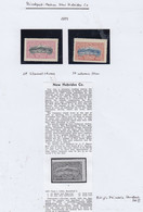 New Hebrides 1897 "Port Villa" Private Issue 2v * Mh (= Mint, Hinged) AA167) - Nuovi