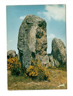 Couleurs De Bretagne - 634 - Menhir Dans La Lande Bretonne - édit JACK Louannec (22) - Dolmen & Menhirs
