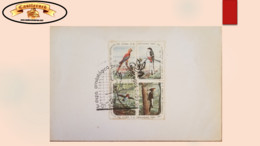 O) 1994 CUBA, BIRDS, ORNITHOLOGICAL EXHIBITION CIENFUEGOS PROVINCE, CHRISTMAS 1961 . FDC XF - Wohlfahrtsmarken