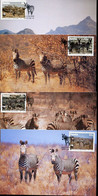 72427 Namibia, 4 Maximum 1991 Zebras - Namibia (1990- ...)