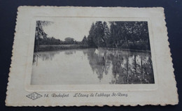 Rochefort - L'Etang De L'abbaye St-Remy - MAGE - Edit. Georges Lallemand, Photographe, Rochefort - # 14 - Rochefort