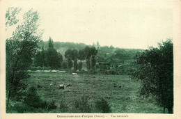 Cousances Aux Forges * Vue Générale Du Village - Sonstige & Ohne Zuordnung