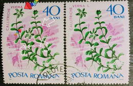 Stamps Errors Romania 1966 # Mi 2528 Printed With Misplaced Plants Flower Image Used - Abarten Und Kuriositäten