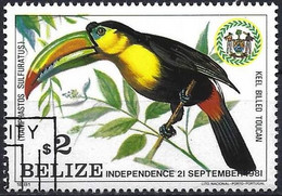 Belize 1981 - Mi 613 - YT 565 ( Bird : Toucan ) - Belize (1973-...)