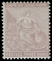 * Cape Of Good Hope - Lot No. 502 - Cape Of Good Hope (1853-1904)