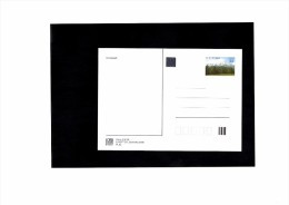 Entier Postal Carte 2002 CDV 88 Paysage Des Tatras - Postcards