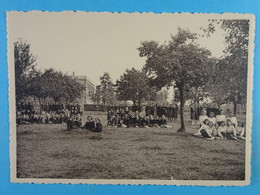 Blegny-Trembleur Institut St-Joseph Pensionnat Pour Jeunes Filles Classes Primaires Et Moyennes Les Vergers - Blégny