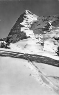 Murren Eiger Winter Skispuren Ski - Mürren