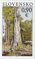 Europa 2011 Neuf - Unused Stamps