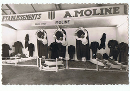 Delcampe - Langon-foire De 1952-stand Des Ets.Moline - Langon