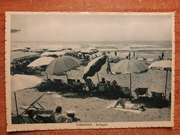 Viareggio (Lucca). La Spiaggia. - Viareggio