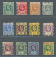 Sierra Leone: 1907-1910, KEVII Definitives In New Colours, Set From 1/2 D. To 5 - Sierra Leone (1961-...)