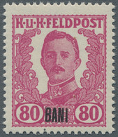 Österreichisch-Ungarische Feldpost - Rumänien: 1918, Nicht Ausgegebene Feldpostm - Otros