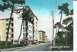 VIAREGGIO (LUCCA) 1966 - CITTAì GIARDINO - RARA - Viareggio