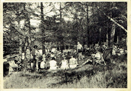 LOUETTE St-PIERRE : Centre De Vacances De L'Y.W.C.A. - Sous Les Mélèzes - Gedinne