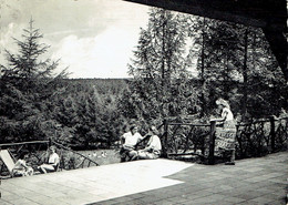 LOUETTE St-PIERRE : Centre De Vacances De L'Y.W.C.A. - Vue De La Terrasse - Photo Véritable - Gedinne