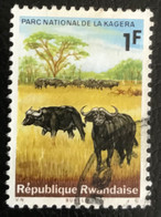 République Rwandaise - C10/50 - (°)used - 1965 - Michel 108A - Nationaal Park Van Kagera - Oblitérés