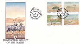 NAMIBIA BUSTA 1° GIORNO PAESAGGIO DESERTICO ANNO 1993 COME DA FOTO - Namibia (1990- ...)