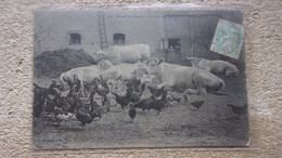 ♥️ AGRICULTURE  SCENES DU CENTRE INTERIEUR DE FERME - Limousin