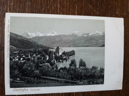 L40/84 OBERHOFEN . THUNERSEE - Oberhofen Am Thunersee