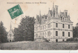 CHALONNES-sur-LOIRE. -  Château Du Grand Montaigu - Chalonnes Sur Loire