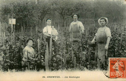 Argenteuil * Les Vendanges Dans Le Vignoble * Vendangeurs Vignes Vin - Argenteuil