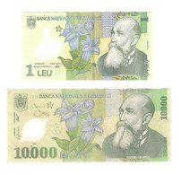 218/ Roumanie : 1 Leu 01/07/2005 - 10 000 Lei 2000 (écris) - Les Deux Billets En Polymer - Romania