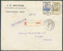 N°119-120 - 20 Et 25 Centimes PELLENS obl. Sc SCHAERBEEK 1 sur Lettre Recommandée Du 15-IV-1914 Vers La Haye (P-B). - TB - 1912 Pellens