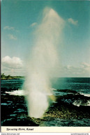 Hawaii Kauai The Spouting Horn Water Geyser - Kauai