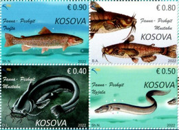 Kosovo Stamps 2022. Fauna: Fish. Trout, Eel, Catfish. Set MNH - Kosovo