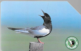 CARTE-MAGNETIQUE-POLOGNE-GUIFETTE-Utilisé-TBE- - Uccelli Canterini Ed Arboricoli