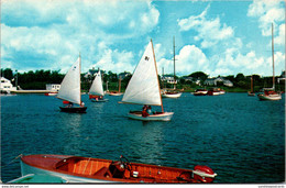 Massachusetts Cape Cod Harwichport Sailboats On Wychmere Harbor - Cape Cod