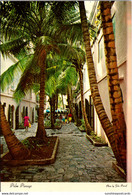 St Thomas Charlotte Amalie Palm Passage Shopping Alley - Isole Vergini Americane