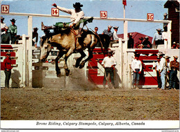 Canada Calgary The Calgary Stampede Bronc Riding 1972 - Calgary