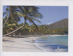 Plage De Salt Whistle Bay, Mayereau, Archipel Des Grenadines (Saint Vincent) Iles était Une Fois 1993 - ANTOINE - St. Vincent Und Die Grenadinen