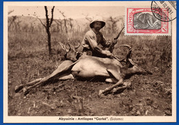 1026.ETHIOPIA 1930'S REAL PICTURE POSTCARD.ANTELOPE SC. 129 1 $ ELEPHANT C.T.O. - Etiopia