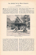 A102 1213 Wien Tiergarten Schönbrunn Ostindisches Dorf Artikel / Bilder 1899 !! - Politik & Zeitgeschichte