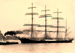 Carte Photo * S.V. MOSHULU Bateau Voilier 4 Mâts Barque à Coque Acier * Goëlette - Sailing Vessels