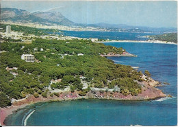 D 83.  LA SEYNE SUR MER.   FABREGAS LA PLAGE AUX SABLETTE - La Seyne-sur-Mer