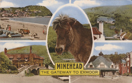 MINEHEAD MULTI VIEW - Minehead